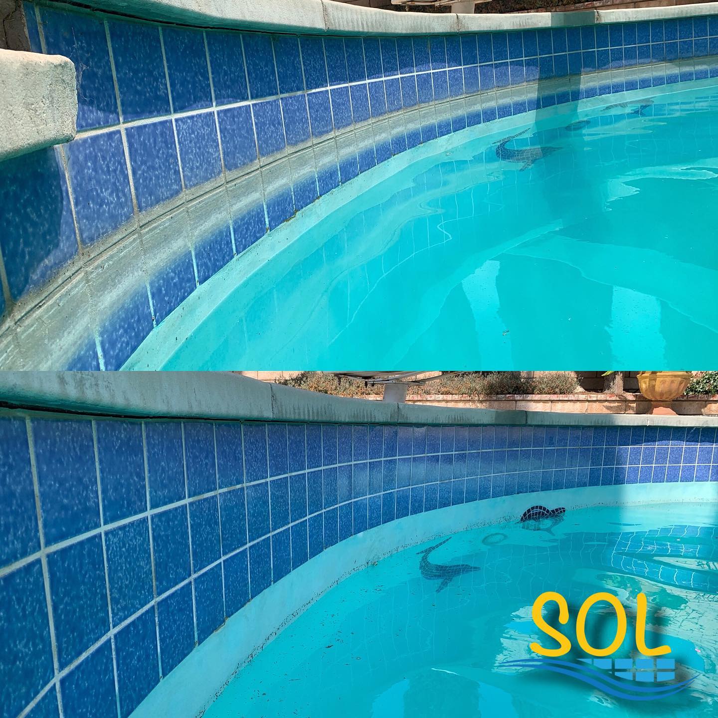 Before and after comparison of pool tiles cleaned by Sol Pool Tile Cleaning, showing the complete removal of white calcium scale.