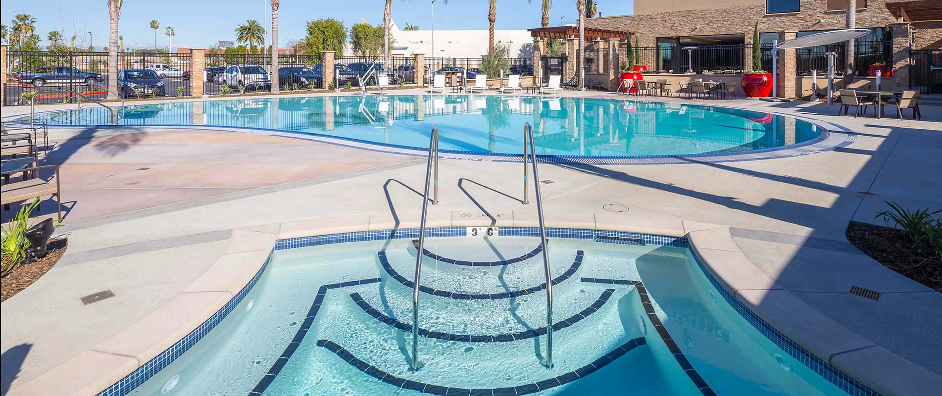 Modern swimming pool with curved design and palm trees in background
